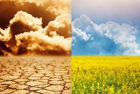 “Contra el cambio climático la solución siempre ha estado bajo nuestros pies, en nuestra tierra”